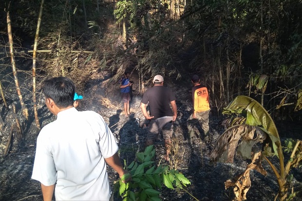 Kebakaran di Gunung Raung, Sebanyak 13 Pendaki Dievakuasi