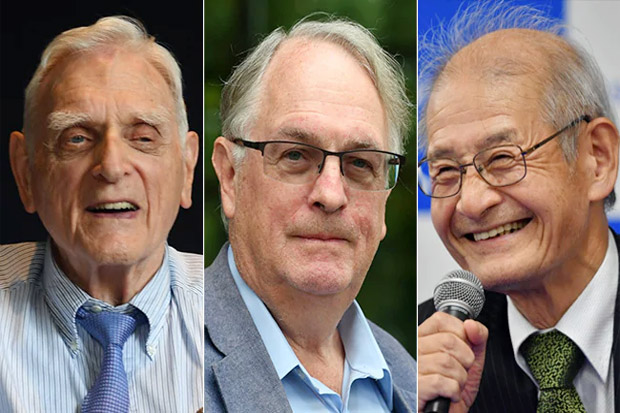 Tiga Ilmuwan Pengembang Baterai Lithium-ion Raih Hadiah Nobel Kimia