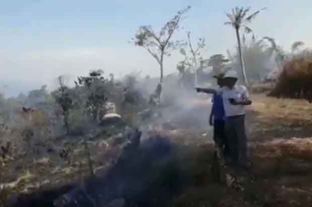 Kobaran Api Gunung Ringgit Ikut Membakar Kebun Kopi milik Warga