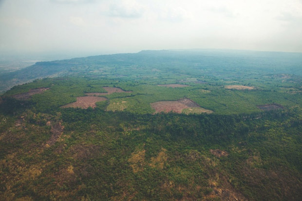 Arkeolog Temukan Kota Kuno yang Hilang di Hutan Kamboja