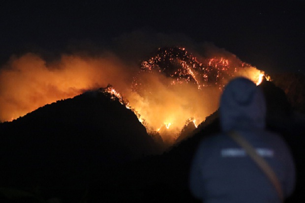 4 Pendaki yang Terjebak Kebakaran Gunung Ranti Berhasil Dievakuasi