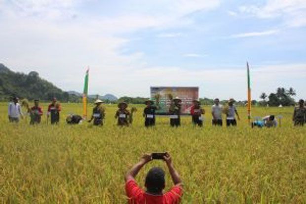 Bupati Morowali Upayakan Intensifikasi dan Modernisasi alat Pertanian