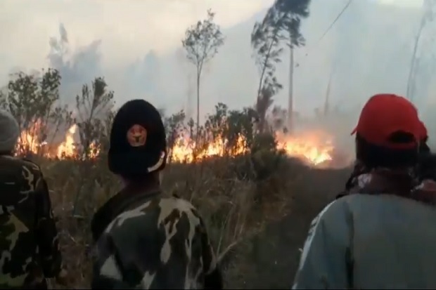 Kewalahan Padamkan Kebakaran di Hutan Gunung Ijen, BPBD Siapkan Tanggap Darurat