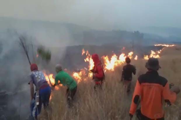 Kebakaran Gunung Rinjani, 30 Wisatawan Berhasil Dievakusi