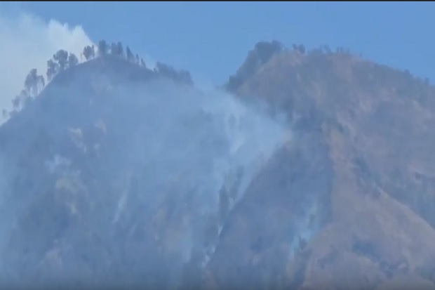 Kebakaran di Lereng Gunung Wilis Meluas, 10 Ha Hutan Lindung Terbakar