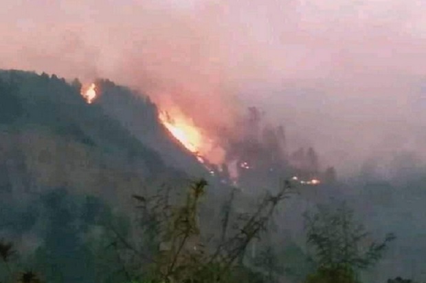Gunung Lompobattang Terbakar, Warga Mulai Mengungsi