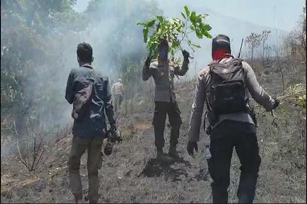 Satgas Karhutla Berhasil Padamkan Kebakaran di Gunung Rinjani
