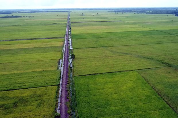 Tingkatkan Produksi Padi, Kabupaten Bandung Andalkan Pembangunan RJIT