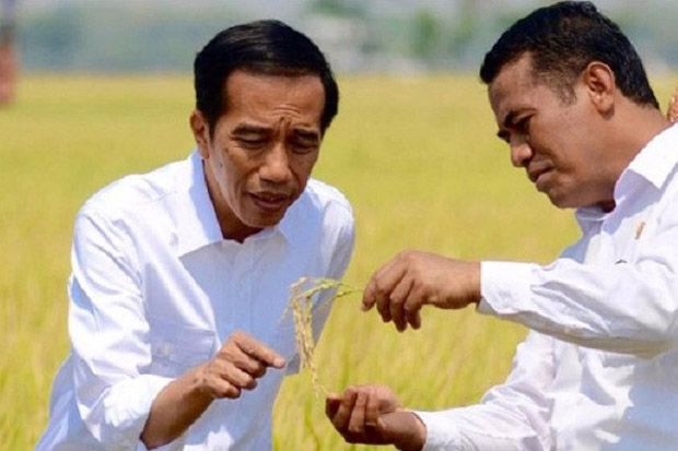 Mantan Mentan Amran Loyal Tanpa Batas Pada Presiden Jokowi