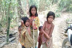 Asal Usul dan Cara Hidup Suku Anak Dalam di Sumatera