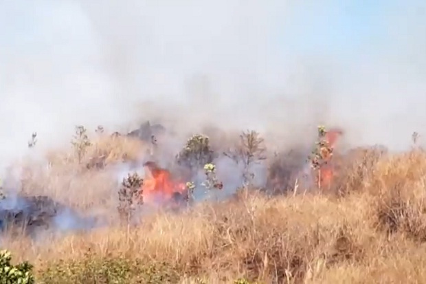 Kebakaran Hebat Terjadi Lagi di Taman Nasional Gunung Ciremai