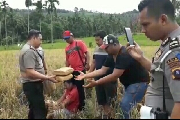 Simpan Ganja 6 Kilogram, Polisi Tembak Bandar Narkoba di Padangsidimpuan