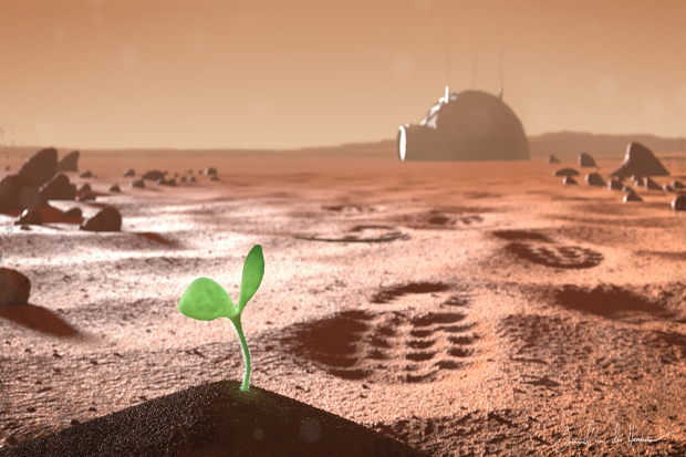 Ilmuwan Berhasil Menanam Tumbuhan dengan Kondisi Seperti di Mars