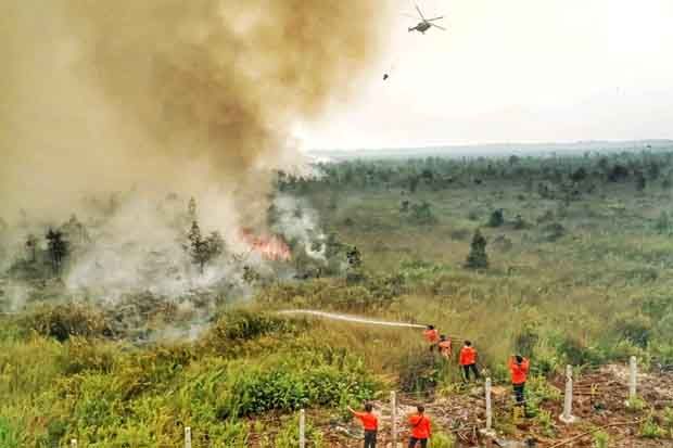 255.904 Hektare Lahan di Sumsel Hangus Terbakar Selama 2019