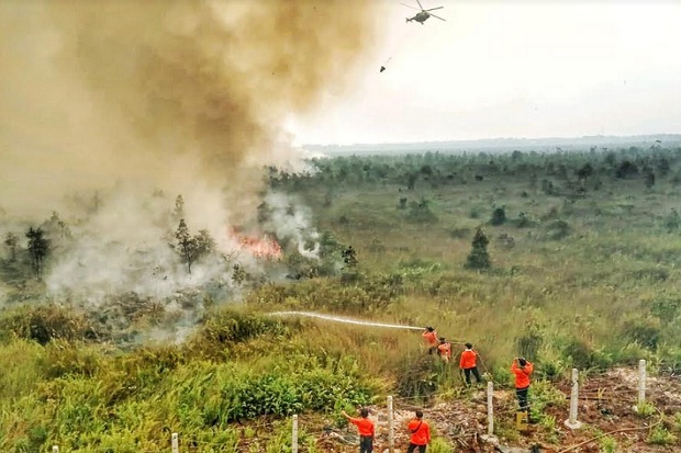 BPBD: Kebakaran Hutan di Sumatera Selatan Capai 255.904 Hektare