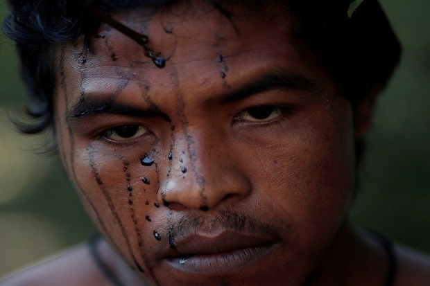 Penjaga Hutan Amazon Ditembak Mati di Wajah oleh Penebang Liar