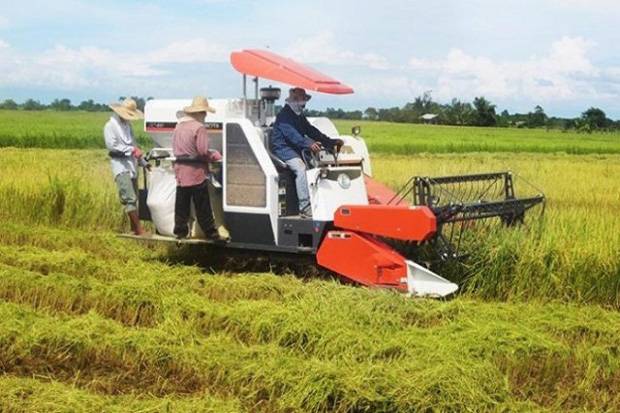ADB Sarankan Peningkatan Investasi Pertanian Agar RI Bebas Kelaparan 2034