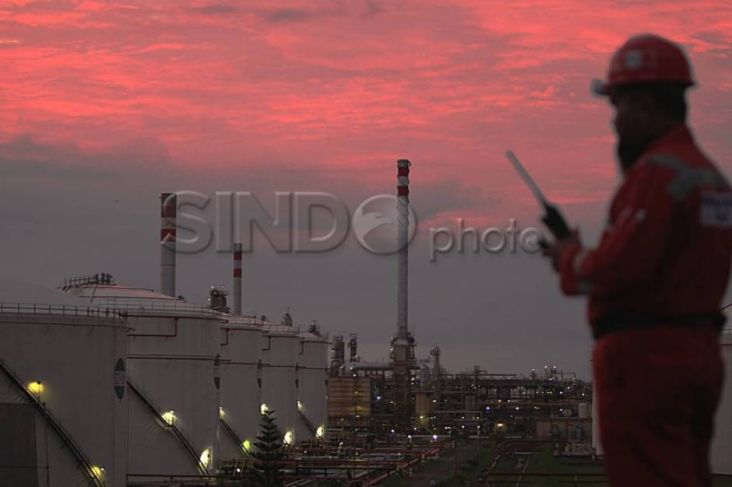 Pertamina Ungkap Rencana Bakal Akuisisi TPPI