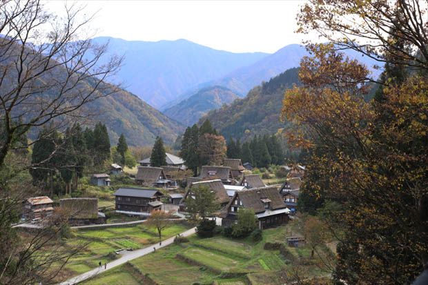 Mirip Shirakawa-go, Gokayama Tawarkan Kedamaian dan Keasrian Alam