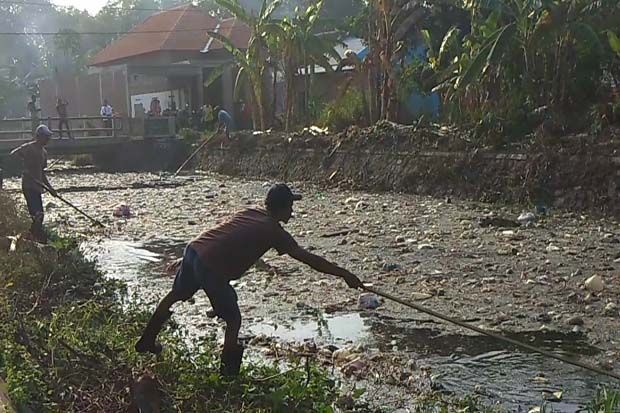 Parah, Sungai di Mojokerto Ini Tertutup Limbah Usus Ayam