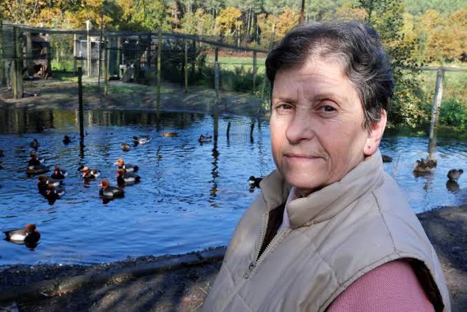 Bebek Menang di Pengadilan Prancis, Tetap Boleh Berkwek-kwek