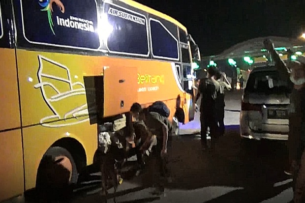 Ribuan Burung Kicau Diselundupkan Pakai 5 Bus Penumpang di Bakauheni