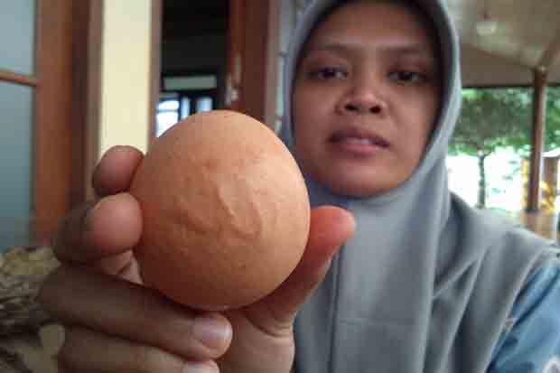 Istri Anggota DPRD Blitar Temukan Telur Ayam Berlafadz Allah