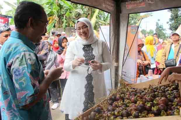 Purwakarta Target Ekspor 50.000 Ton Manggis