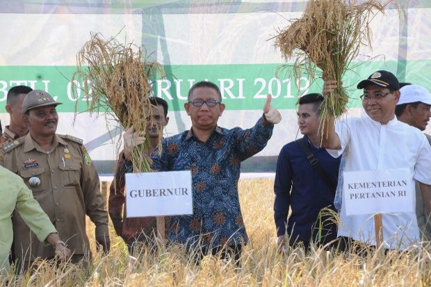 Gubernur Kalbar Galakkan Intensifikasi Pertanian
