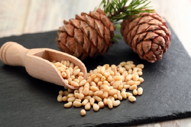 Kacang Pinus Baik untuk Kesehatan Mata