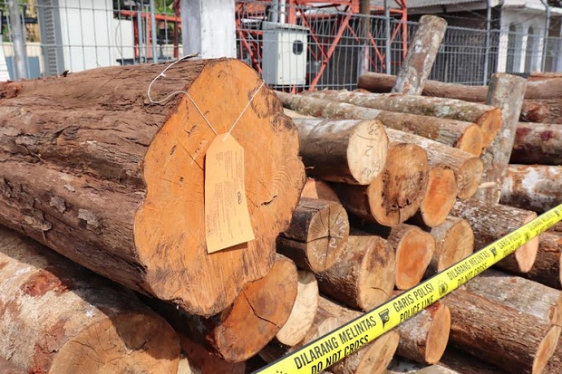 Polres Ciamis Bekuk Pelaku Illegal Loging di Hutan Lindung