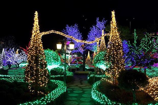 Sambut Natal, Kota Busan Diterangi Lampu Warna Warni