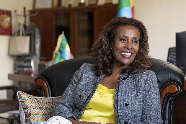 Meaza Ashenafi, Hakim Mahkamah Agung Wanita Pertama di Ethiopia