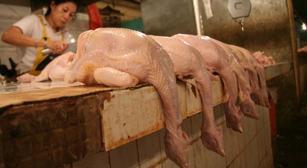 Waduh, Harga Ayam dan Telur di Kupang NTT Meroket