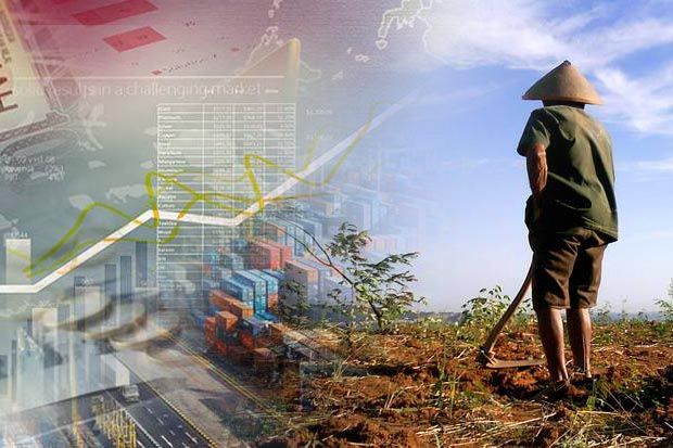 Setop Impor Cangkul, IKM Bergerak Penuhi Kebutuhan Dalam Negeri