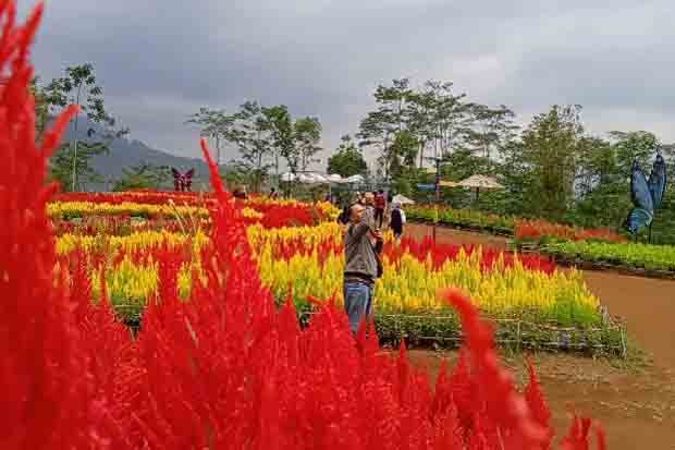BMKG dan Wisatawan Amati Fenomena Gerhana Matahari Cincin di Taman Bunga Banjarnegara
