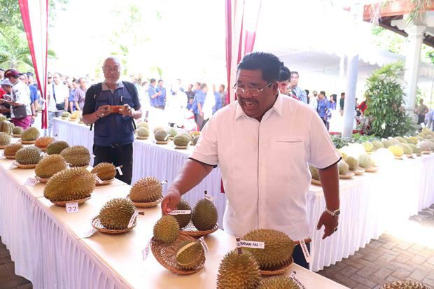 Sambut Tahun Baru 2020, Pemkab Buleleng Gelar Kontes Durian