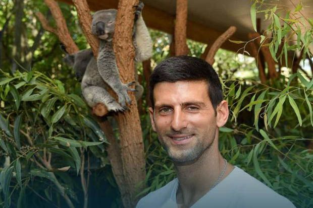 Novak Djokovic Belajar dari Kesederhanaan Gaya Hidup Koala