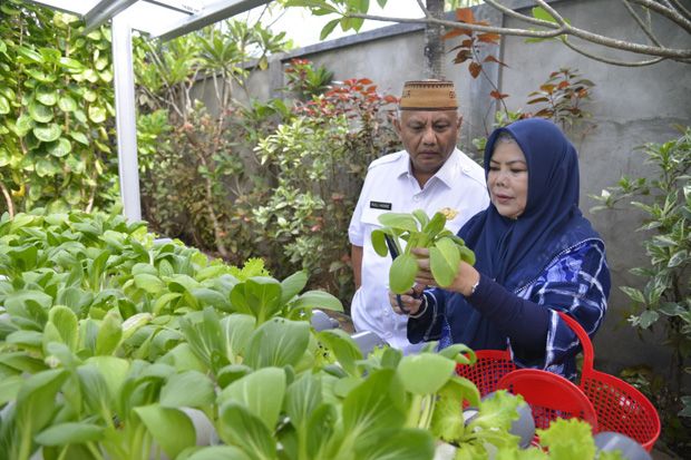 Gubernur Gorontalo Dorong ASN Tanam Sayur Aquaponik