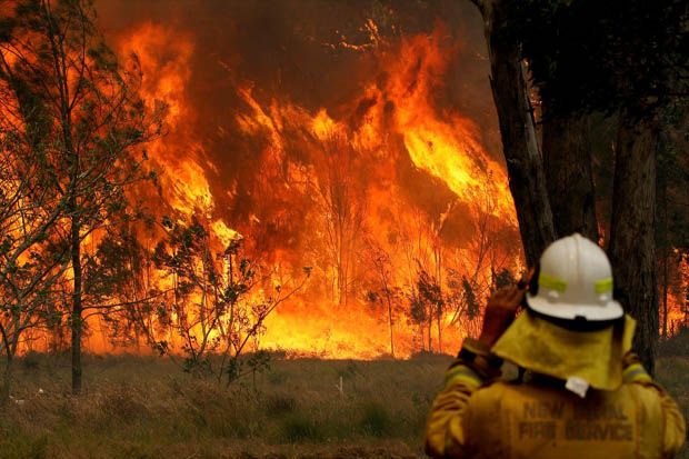5 Selebritas yang Berdonasi untuk Kebakaran Semak Australia