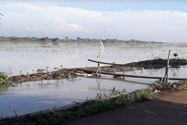 Kerugian Banjir Selama 3 Hari di Cilamaya Karawang Capai Rp540 juta