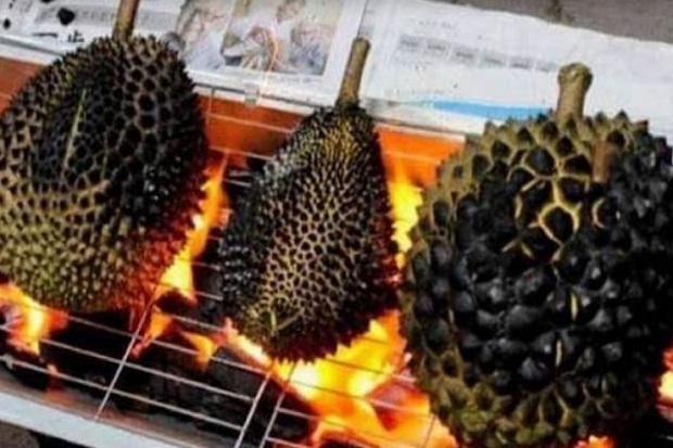 Sensasi Durian Bakar Pangkalan Bun, Dagingnya Pulen dan Tebal