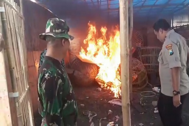 Polisi Bakar Arena Judi Sabung Ayam di Pinggiran Kota Sidoarjo