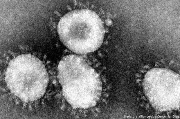 Mengenal Apa Itu Virus Corona yang Sedang Mewabah di Wuhan
