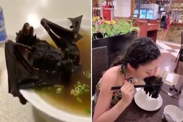 Ini Video Wanita Santap Sup Kelelawar Diduga Biang Virus Wuhan