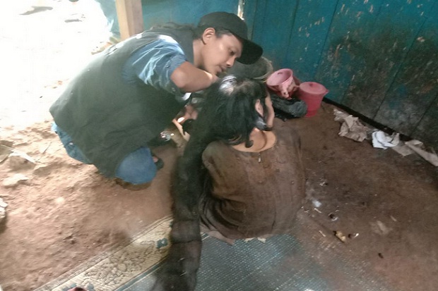 Relawan MRI-ACT Potong Rambut Gimbal Mbah Iyah Sepanjang 2 Meter
