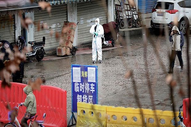 Hasil Tes Mengonfirmasi Pasar Kelelawar Wuhan Biang Virus Corona