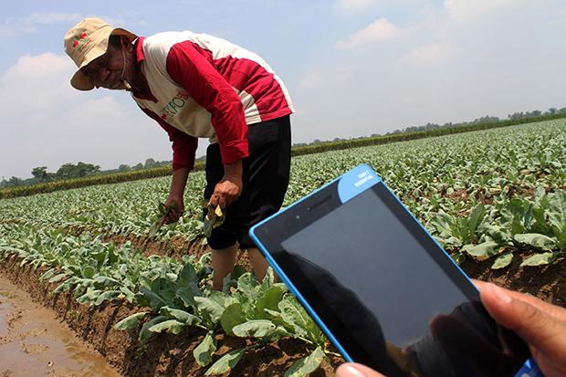 Pertanian RI Pakai Big Data, Luhut: Jangan Berkelahi Lagi Soal Impor Pangan