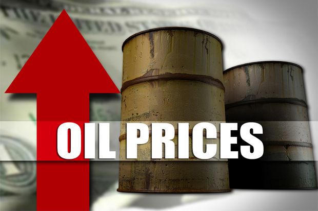 Harga Minyak Rebound Setelah China-OPEC Membahas Penurunan Produksi