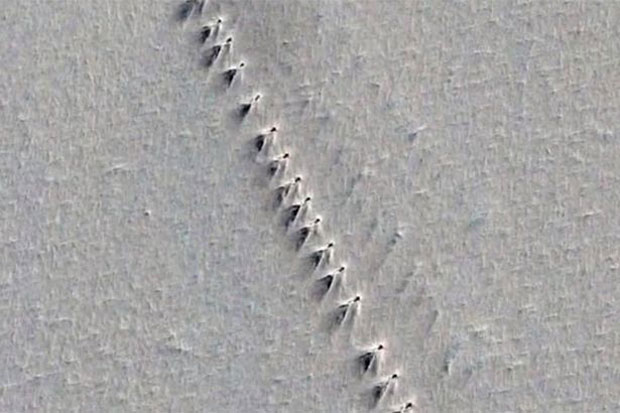 Barisan Struktur Bangunan Misterius Tertangkap Google Earth